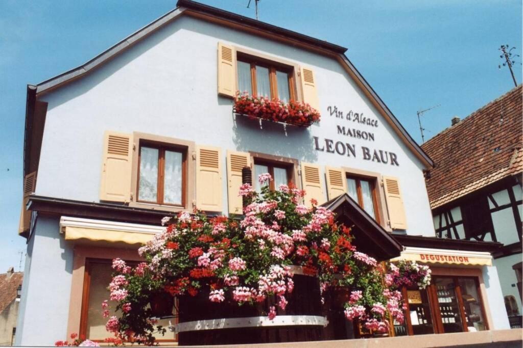 Le Victoria à Eguisheim, 4-6 p, 3étoiles 6