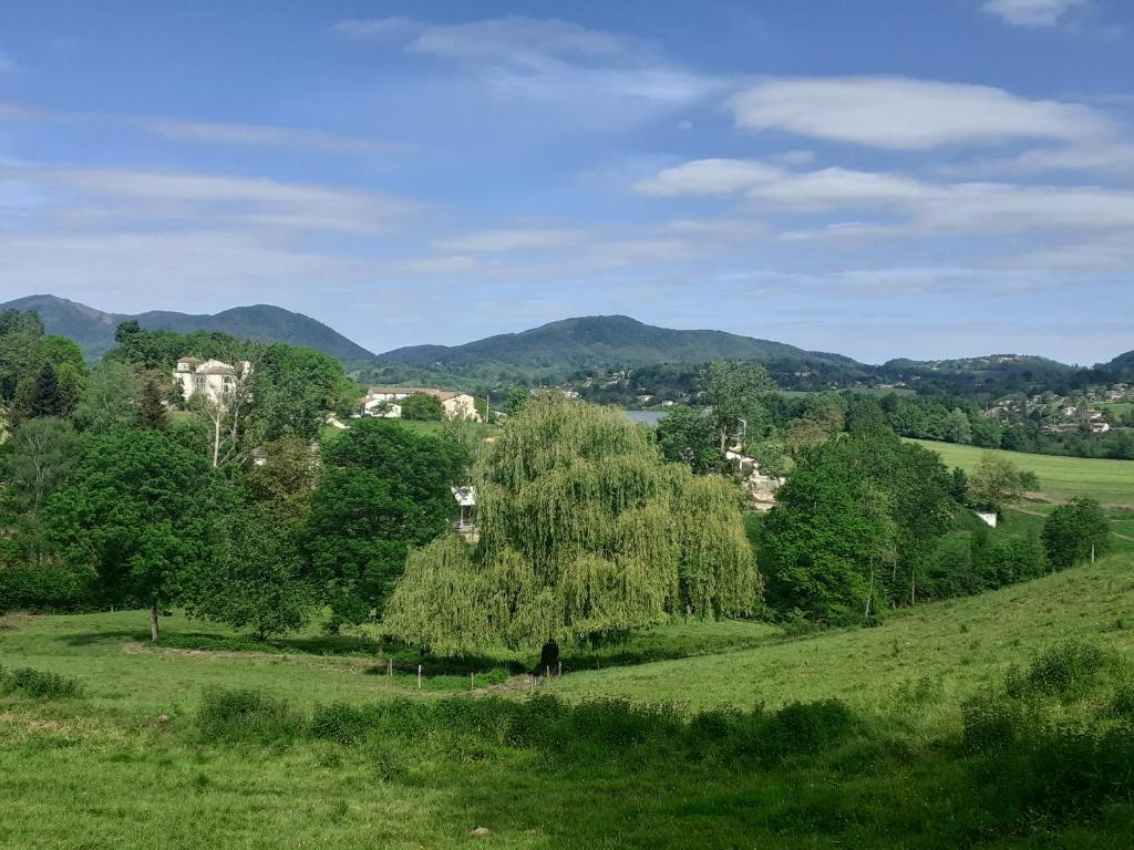 un champ verdoyant avec des arbres et des montagnes en arrière-plan dans l'établissement Gîte Le Marronnier, à Ganac
