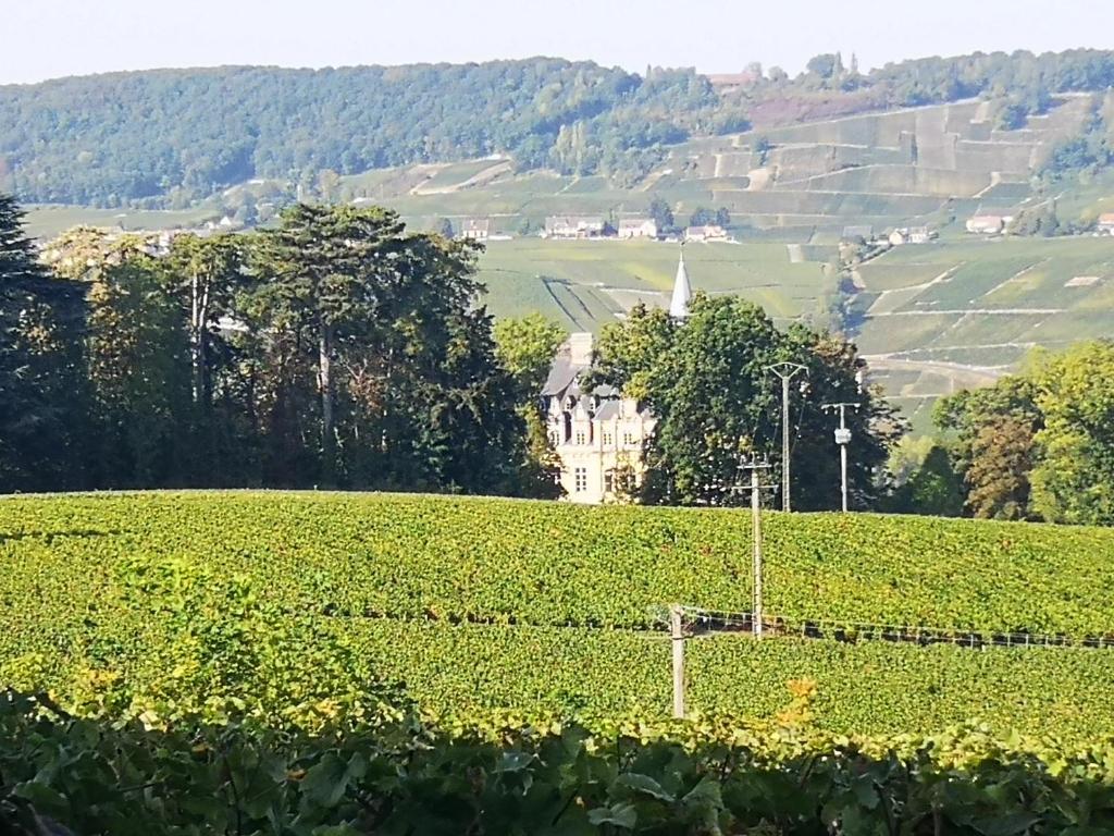 Le Temps d une Pause à Boursault 2