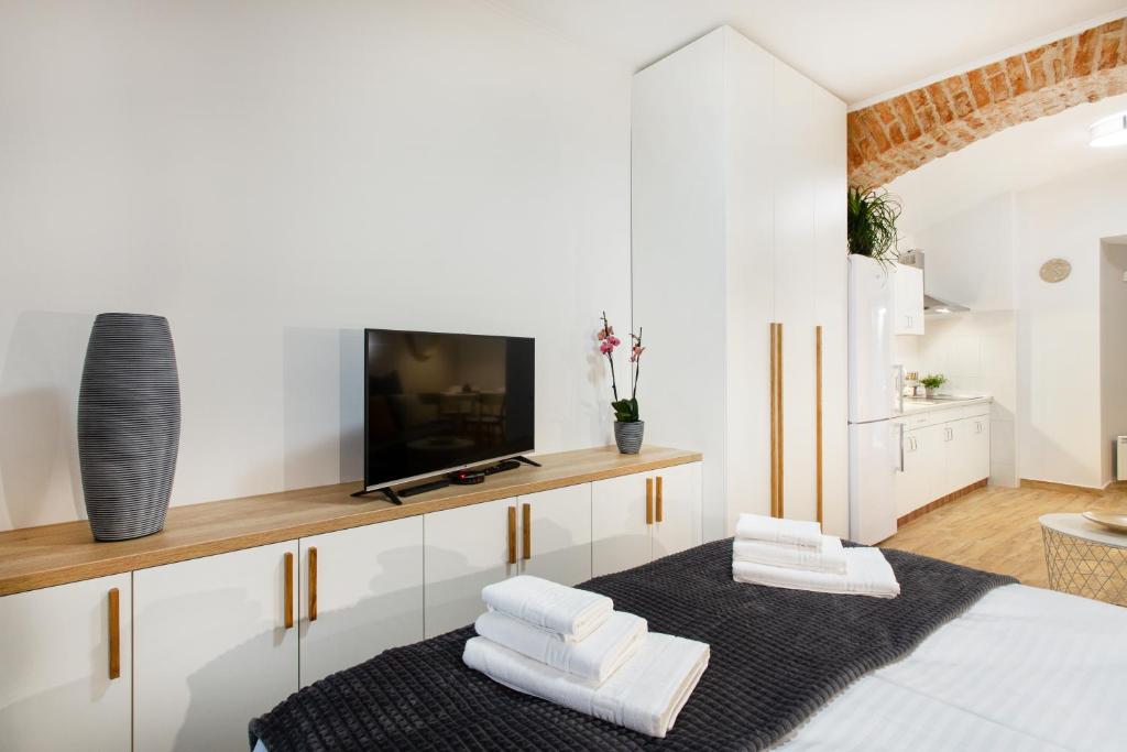 Apartments Tivoli 8