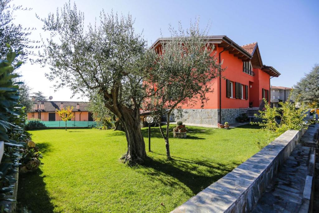 un arbre dans la cour d'une maison dans l'établissement Antonietta, à Calcinelli