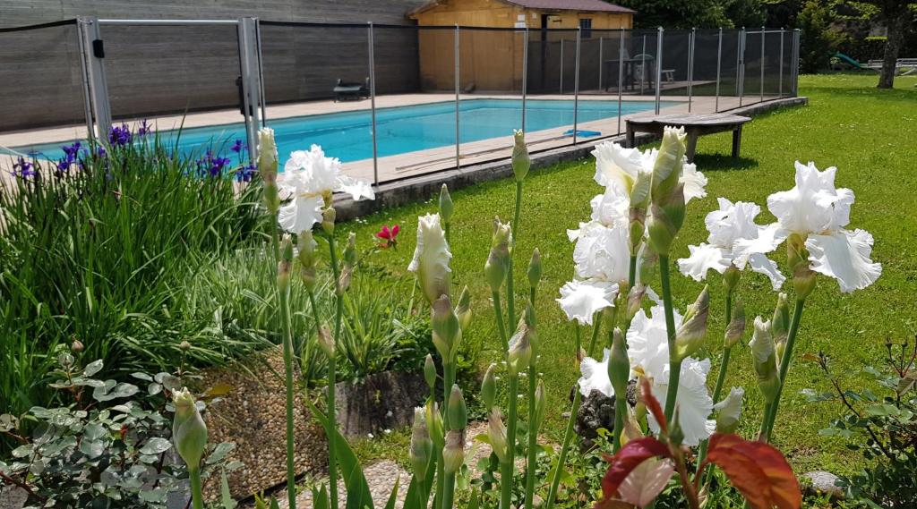 Gites de La Croisée des Chemins - Piscine Chauffée - Spa, Hammam et Sauna 8