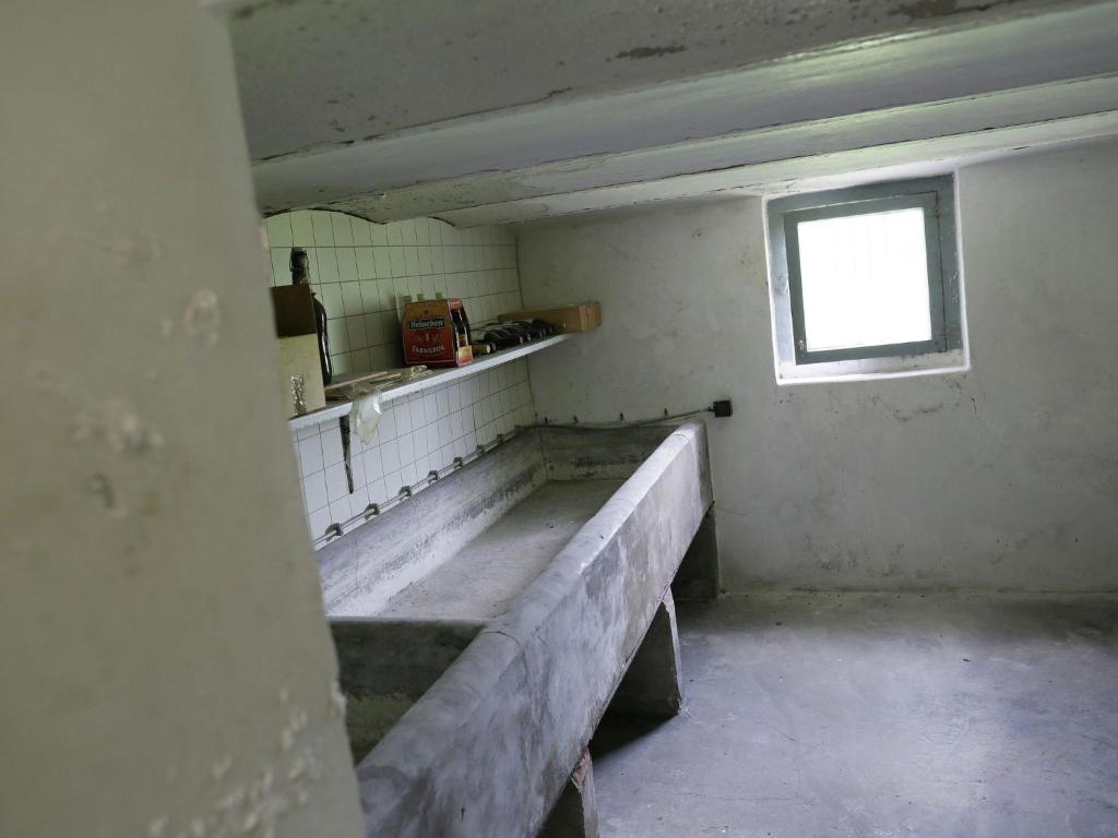 Peaceful Farmhouse in Doorn near Forest 7