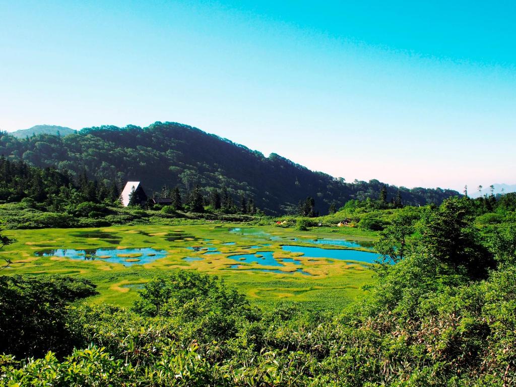 un grand champ vert avec une bande d'eau dans l'établissement Star Hotel Akakura, à Myōkō