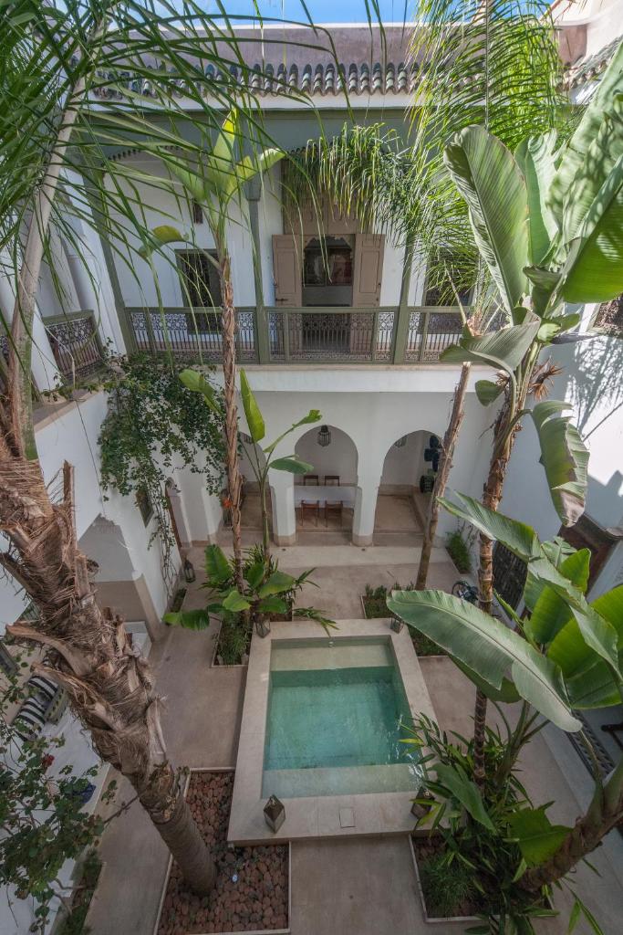 une cour intérieure avec une piscine et des palmiers dans l'établissement Riad Jaaneman, à Marrakech