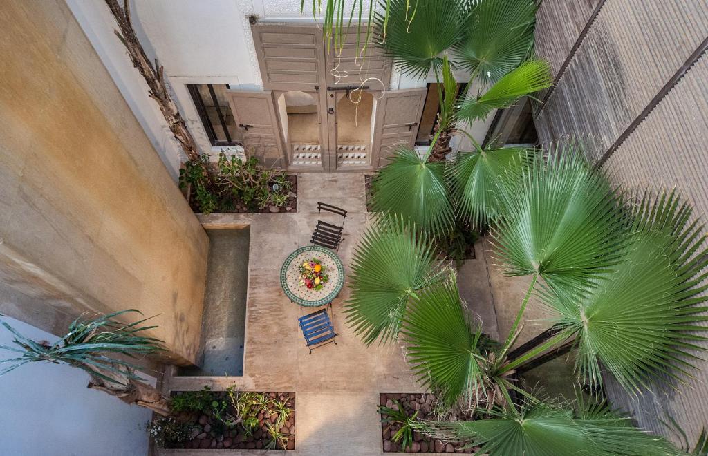 Elle offre une vue sur une cour bordée de palmiers. dans l'établissement Riad Jaaneman, à Marrakech