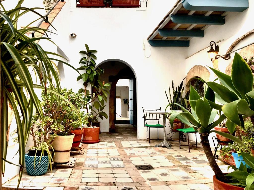 CASA LA FUENTE C Casas Vejer Debra 5