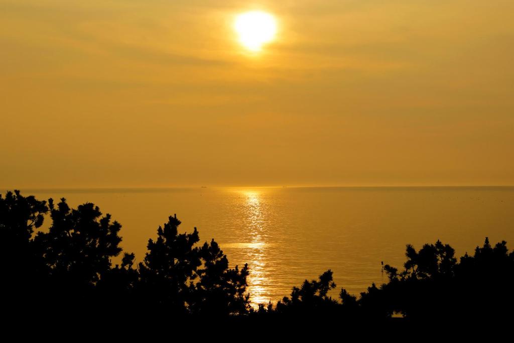un coucher de soleil sur l'eau avec des arbres au premier plan dans l'établissement Awaji Hamarikyu, à Minamiawaji