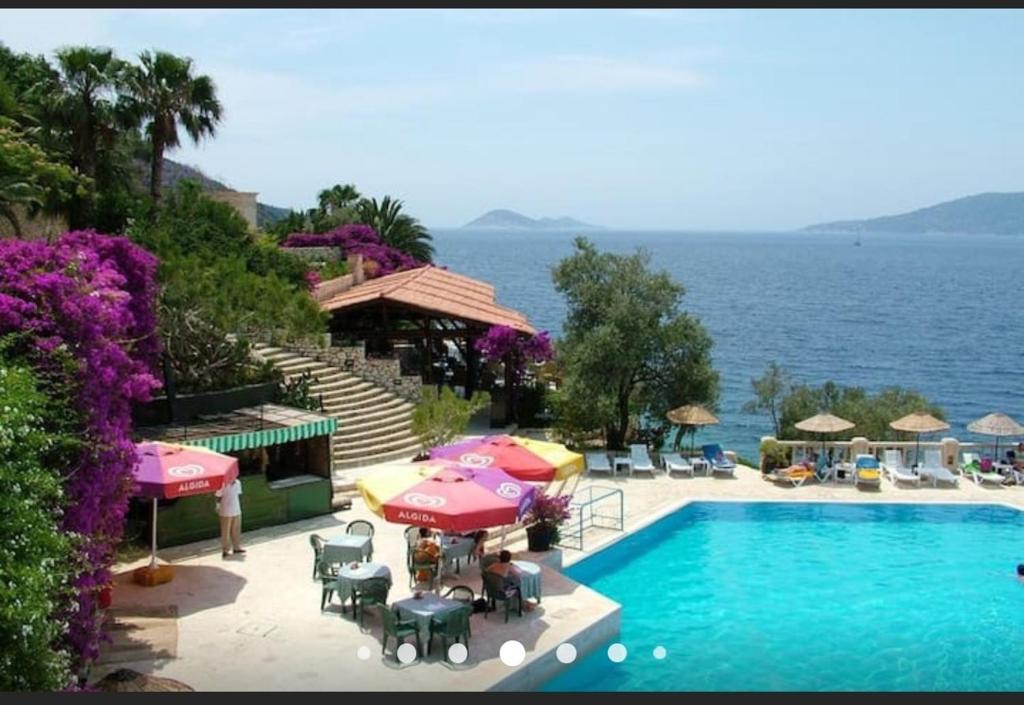 Sea view Bougainvillea 52 5