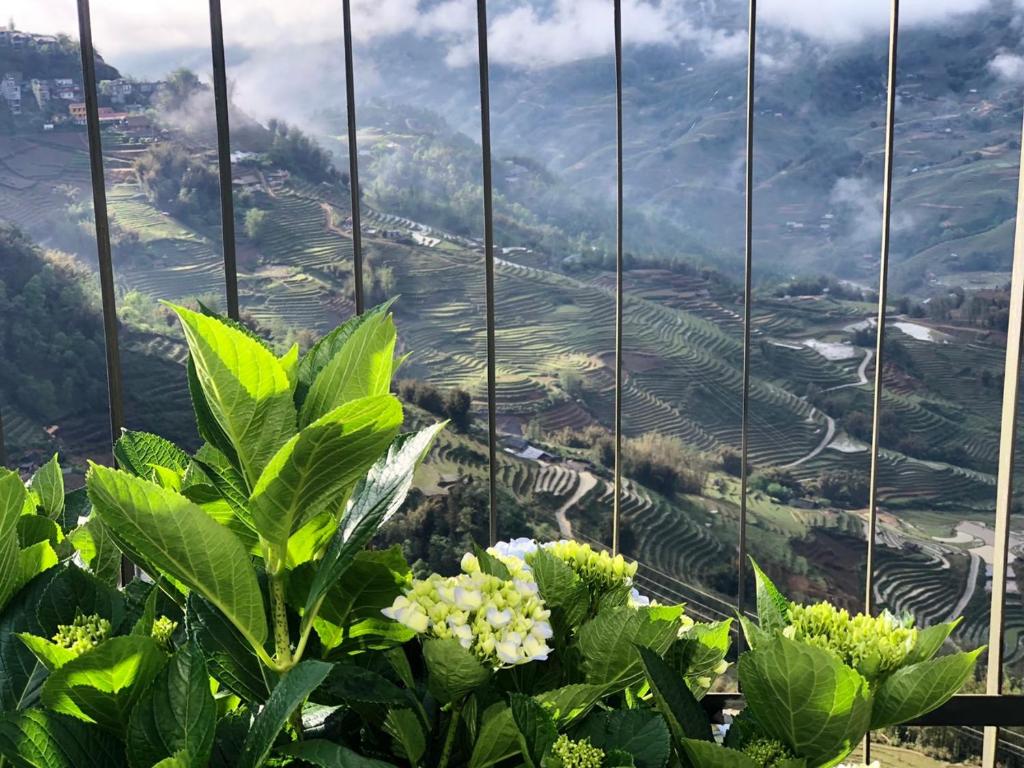 Pao's Sapa Leisure Hotel