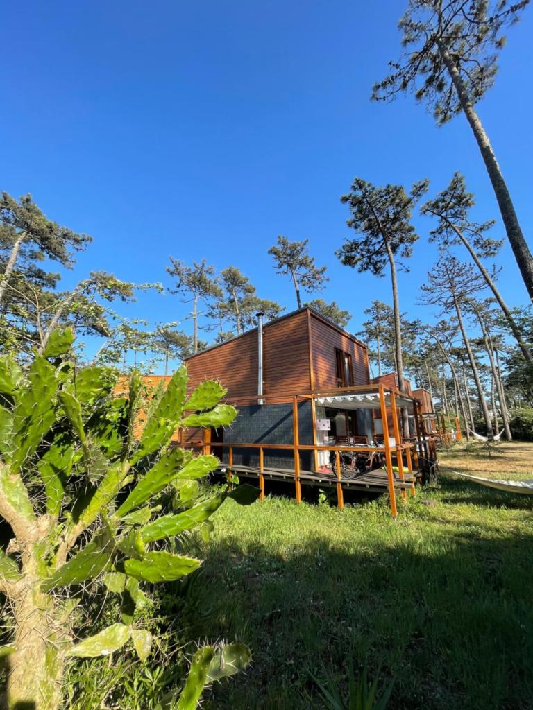 Bungalow B5 Ofir 7