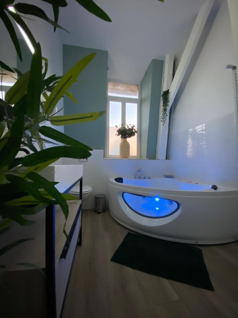 ZEN - Roubaix-Lille - Balneo - Home cinéma - Billard 3