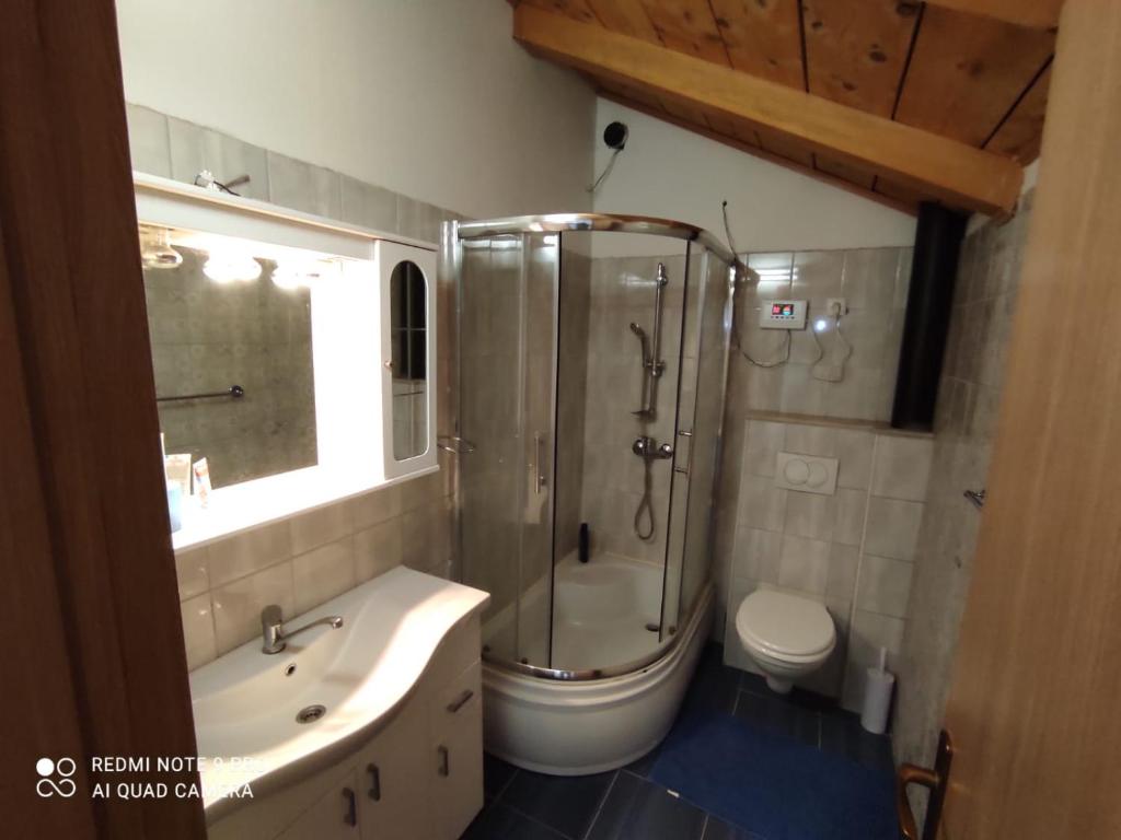 Rest house with jacuzzi Mili 3
