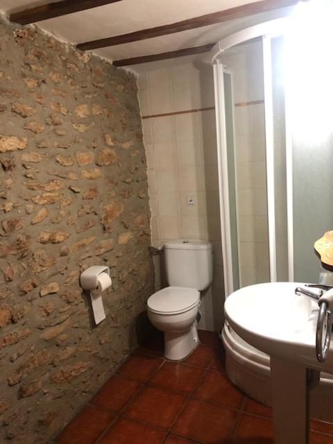 CASA ELISA 8