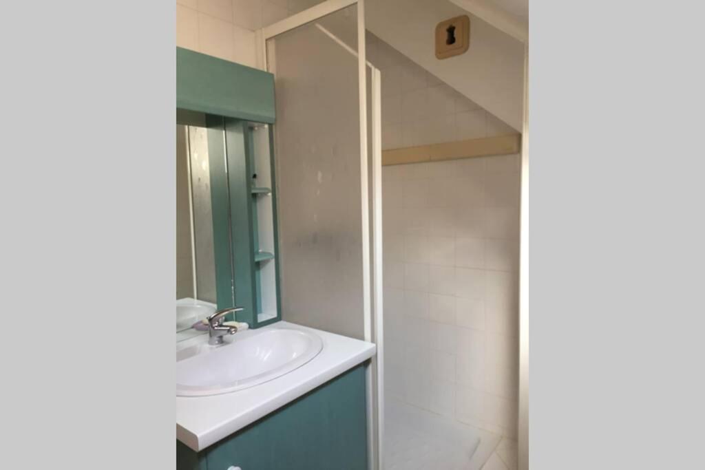 une salle de bain avec un lavabo et un miroir dans l'établissement T2 Bis, calme, plein centre de Luchon, avec balcon et garage, à Luchon