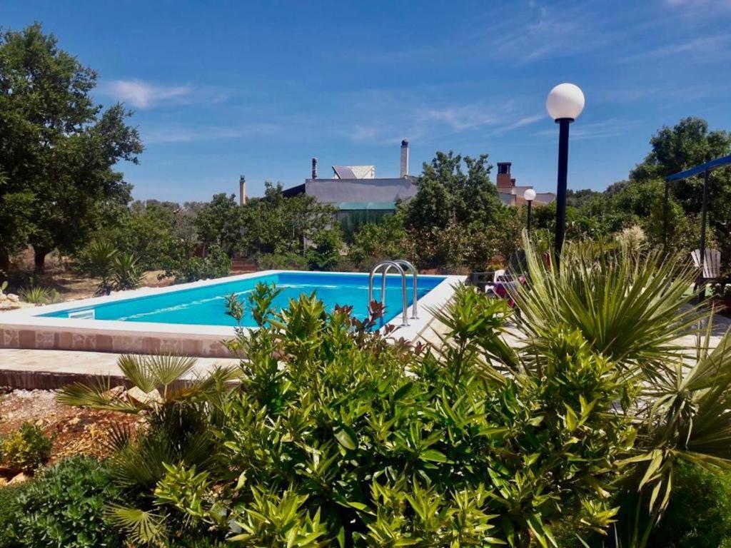 - une piscine dans une cour ornée de plantes dans l'établissement VILLA FREEMAN, à Ostuni