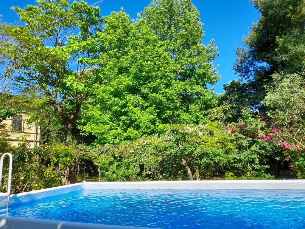 une piscine avec des arbres en arrière-plan dans l'établissement Villa Carola, à San Giuliano Terme