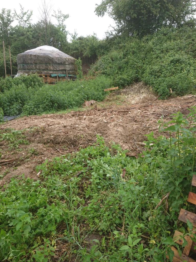 un champ avec un bâtiment en arrière-plan avec des plantes dans l'établissement Yourte rustique en permaculture, à Creysse