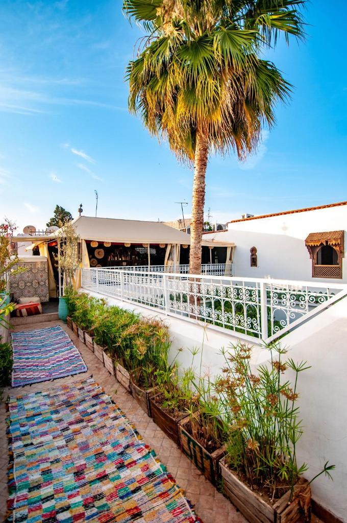 un tapis devant un bâtiment blanc avec un palmier dans l'établissement Hotel & Spa Riad Dar El Aila, à Marrakech