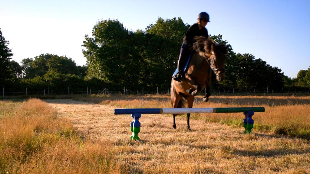 une personne faisant du saut à cheval dans l'établissement Lodge Les P'tites Maisons dans la Prairie, à Sallertaine