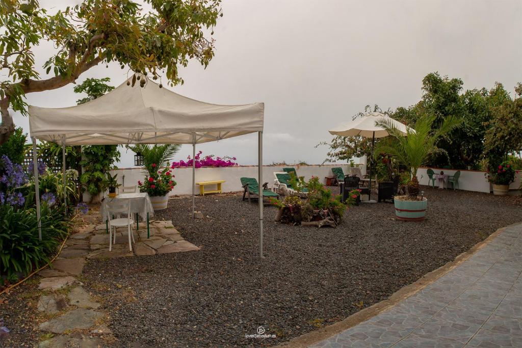 Bodega Goyo 8