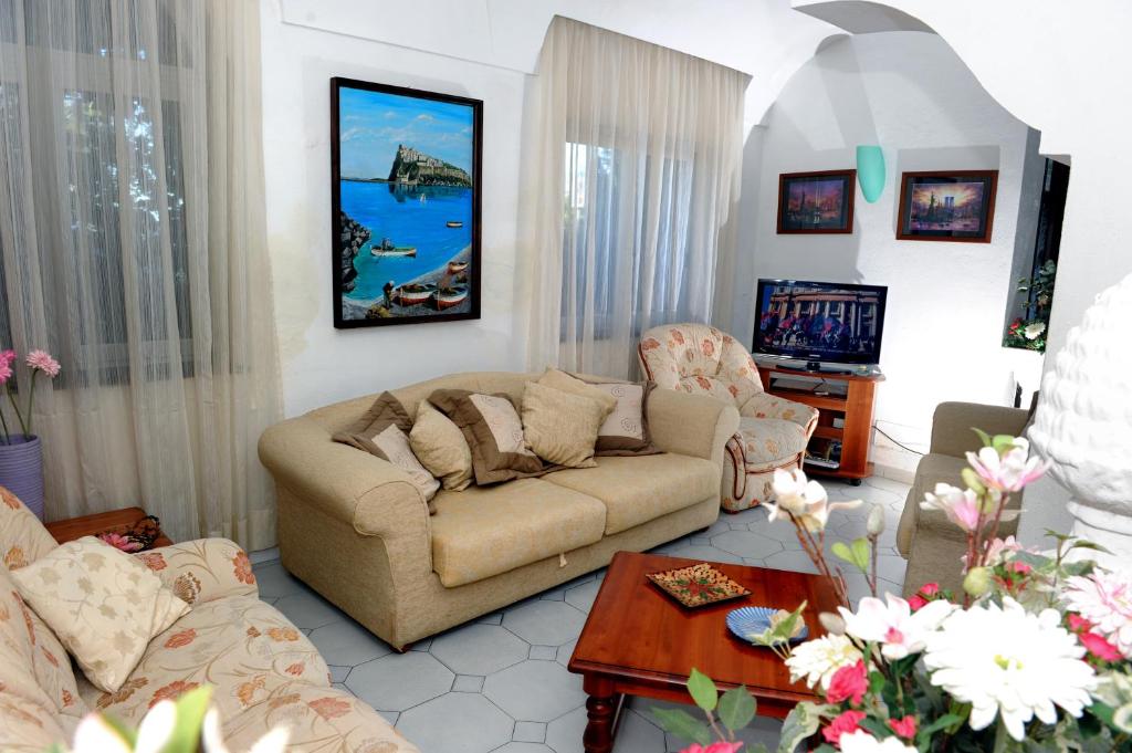 un salon avec un canapé et une télévision dans l'établissement Hotel La Ninfea, à Ischia