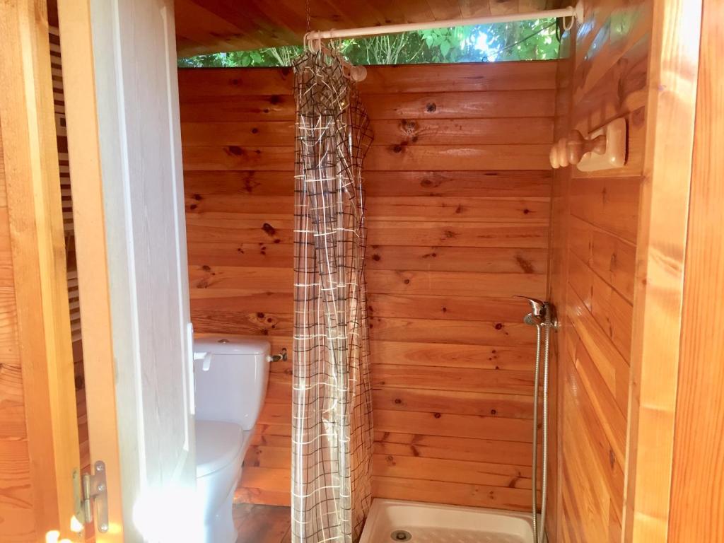 une salle de bain avec douche et toilettes dans l'établissement Yourte mongole, à Huriel 34 autres photos