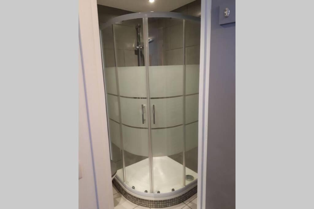 une salle de bain avec douche et toilettes dans l'établissement Appartement confortable face à la montagne, à Aime La Plagne 33 autres photos