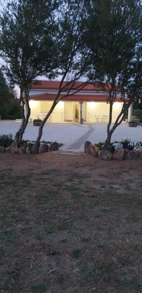 Casa vacanze Olbia - ALEBEA - 8