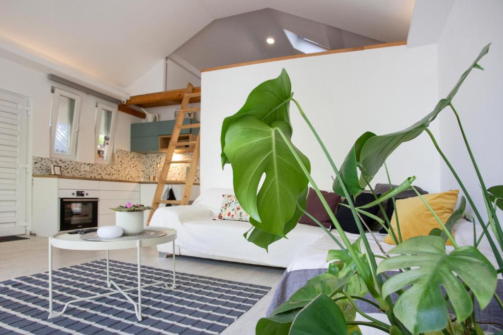 River house Grana 5