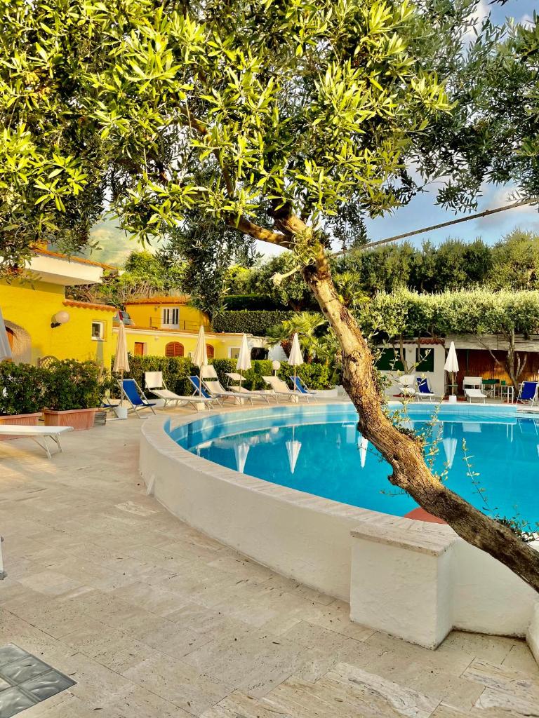 une grande piscine avec un arbre au premier plan dans l'établissement Hotel La Scogliera, à Ischia