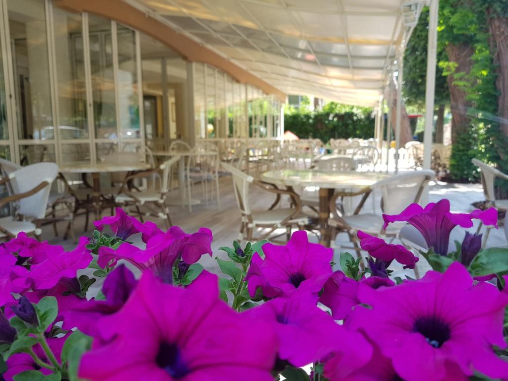 - un bouquet de fleurs violettes devant un restaurant dans l'établissement Hotel Gioiosa, à Cesenatico