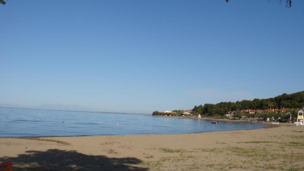 Elia by the sea 7