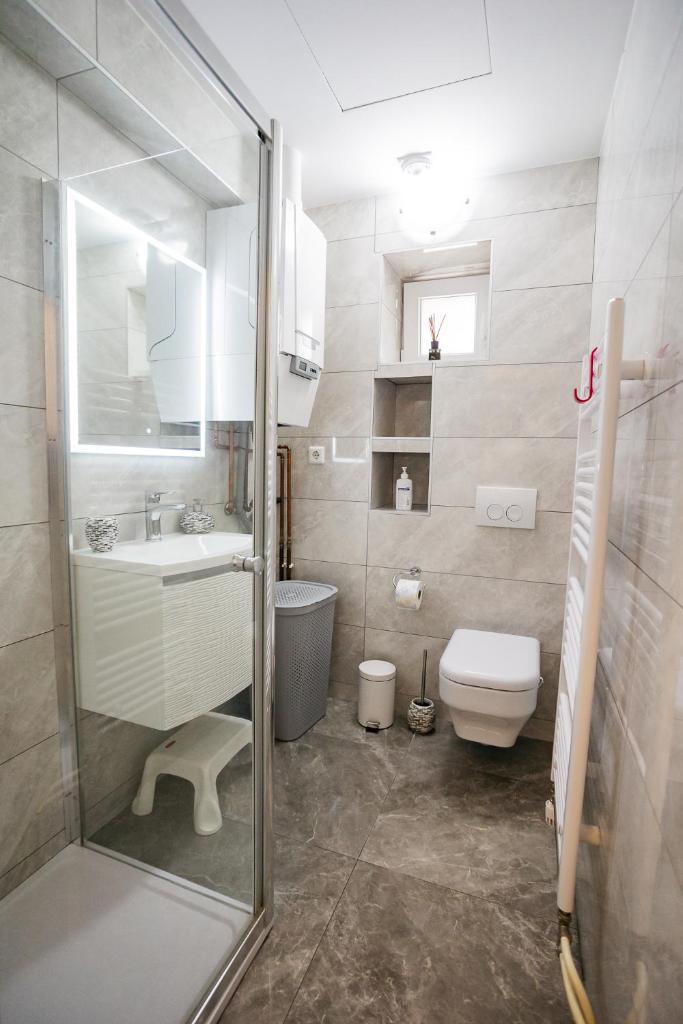 Apartments Šentvid 6