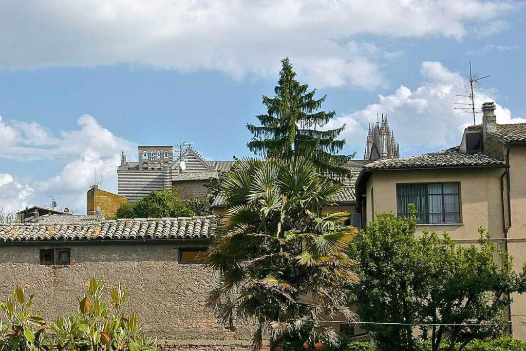 Il gelsomino di Isia 6