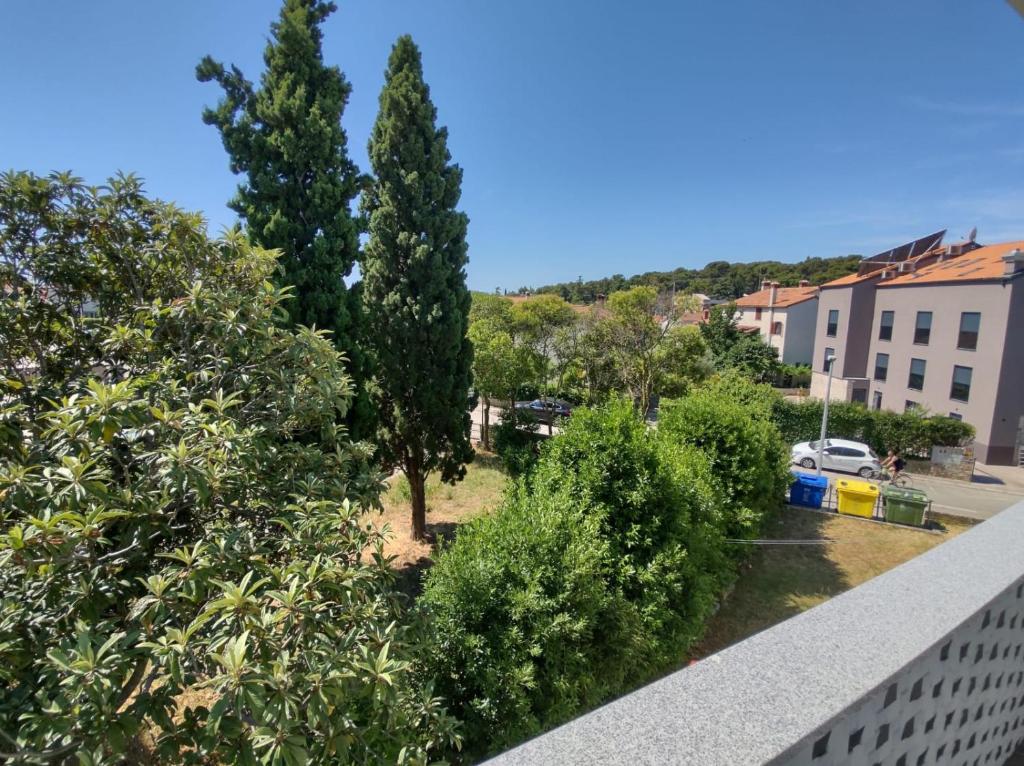 Modern apartment Ana 6