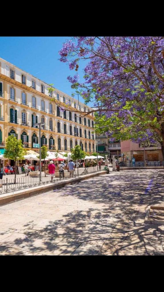 Apartamentos Alcazaba 2