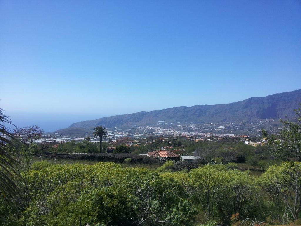Los Guanches Bungalows 8