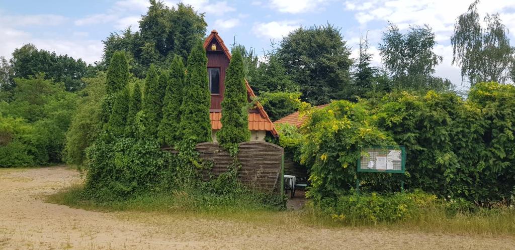 SOWA nad jeziorem Wojnówko gm Murowana Goślina 5