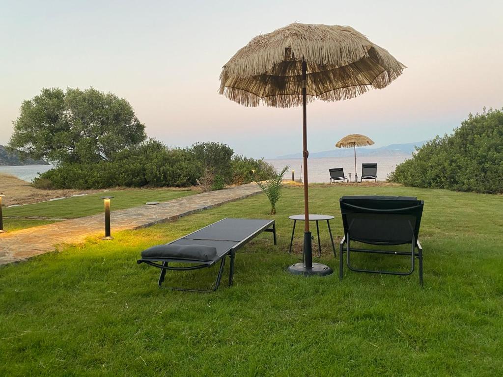 Mirabella Vista 4