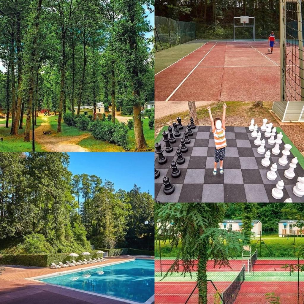 un collage de quatre photos d'une personne jouant aux échecs dans l'établissement Tiki House M-Home-Climatisé - Belle parcelle !, à Saint-Chéron