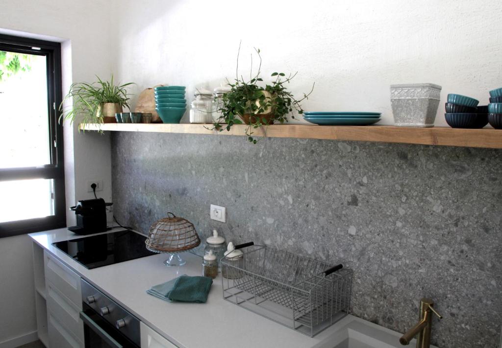 une cuisine avec un évier et un plan de travail dans l'établissement Villa Agave, à Lazise