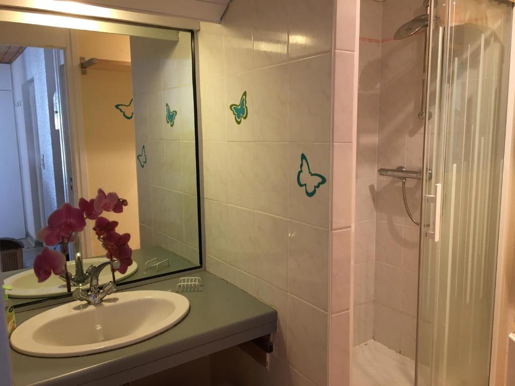 une salle de bain avec un lavabo et une douche avec un miroir dans l'établissement APPARTEMENT DE MONTAGNE, à Mijoux 19 autres photos