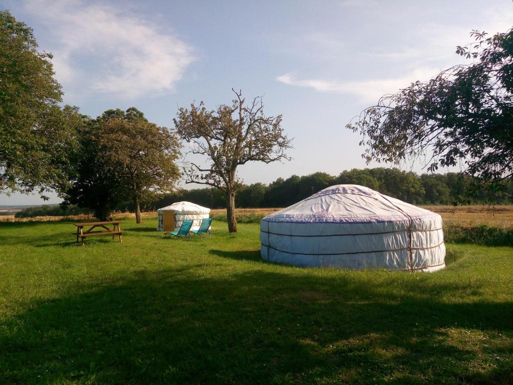 Deux ou deux grands dômes assis dans un champ dans l'établissement 2 Yourtes au naturel, à Druyes-les-Belles-Fontaines