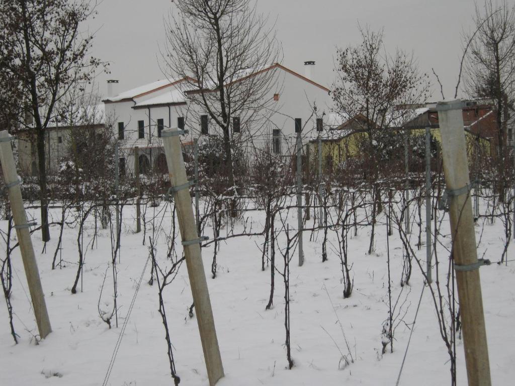 Villa Gaudio 8