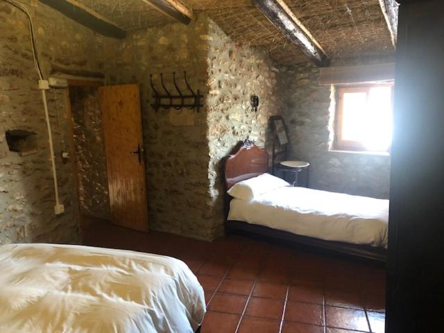 CASA ELISA 7