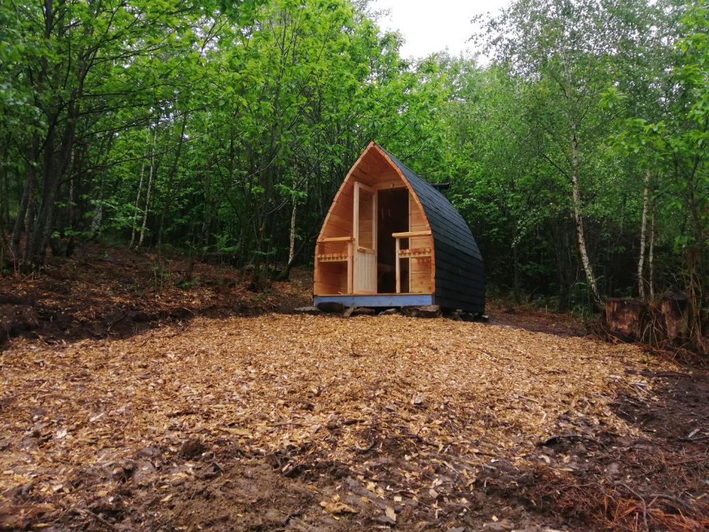 une petite cabine au milieu d'une forêt dans l'établissement bulle sous les etoiles, à Chénour