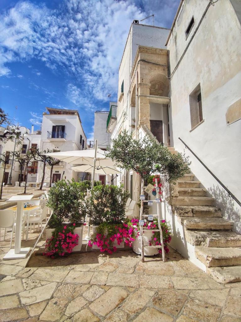 WePuglia - Santo Cosma - Domvito 6