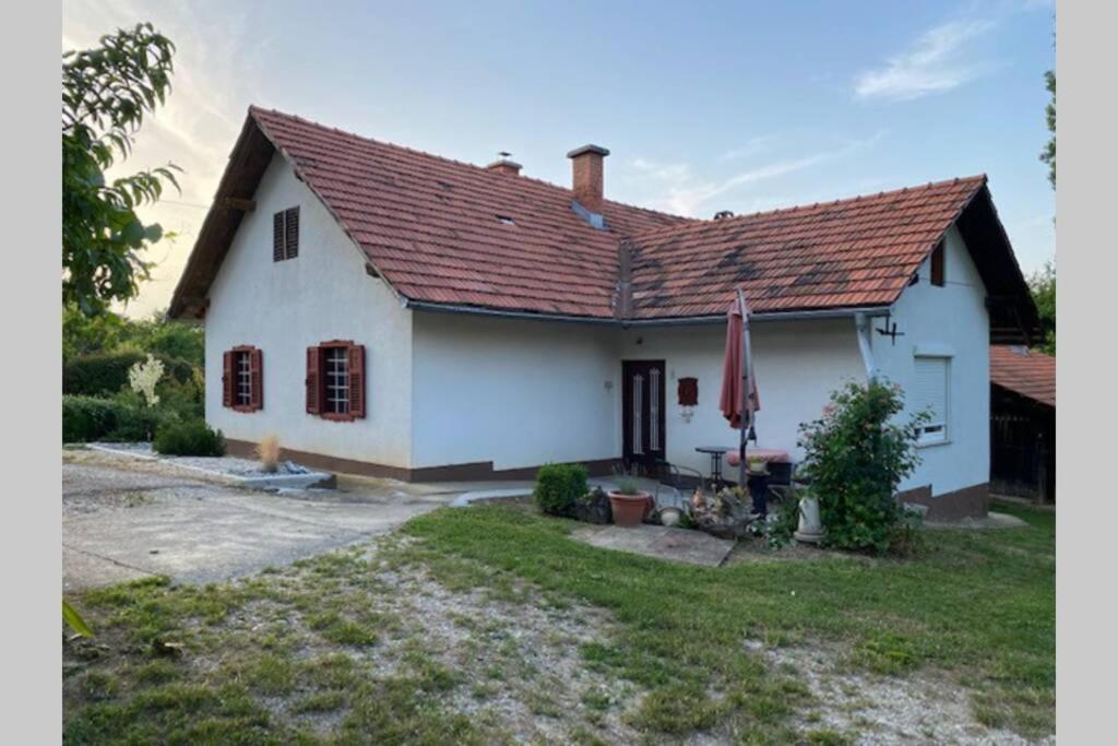 Živahna hiša 1