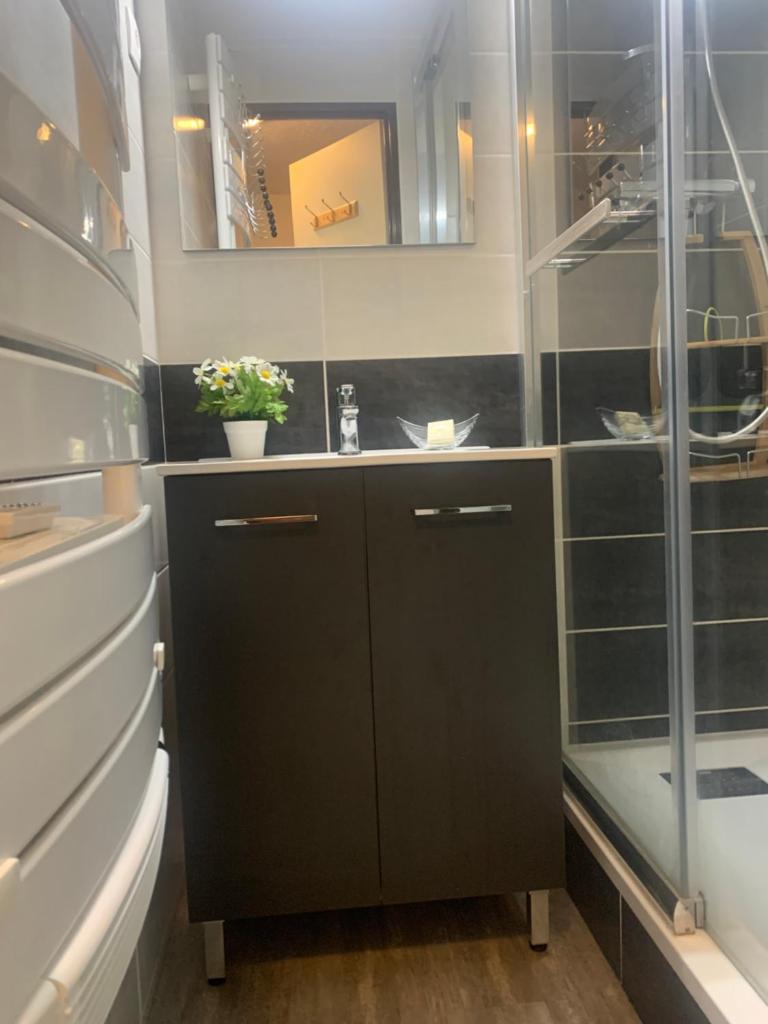 une salle de bain avec un lavabo et une douche dans l'établissement Appartement vue montagne avec wifi, à Saint-Lary-Soulan